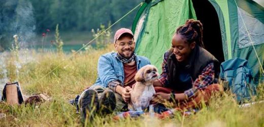 10 Expert Tips to Keep Your Pet Safe While Camping