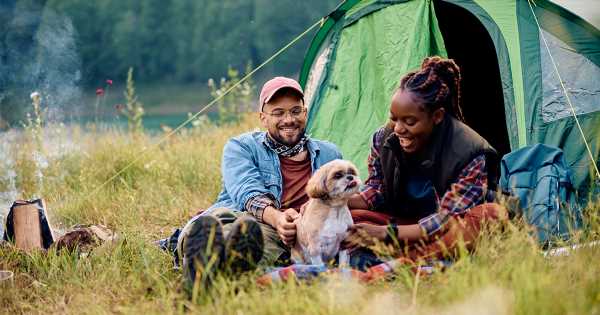 10 Expert Tips to Keep Your Pet Safe While Camping