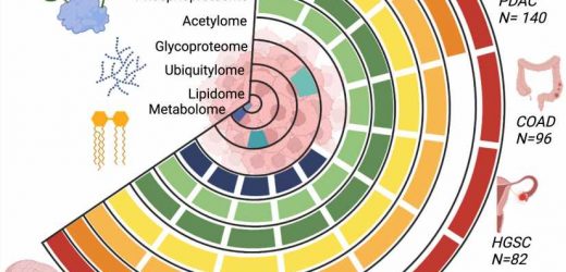 A comprehensive proteogenomic dataset to help cancer researchers unravel molecular mysteries