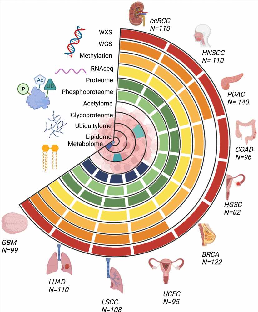 A comprehensive proteogenomic dataset to help cancer researchers unravel molecular mysteries