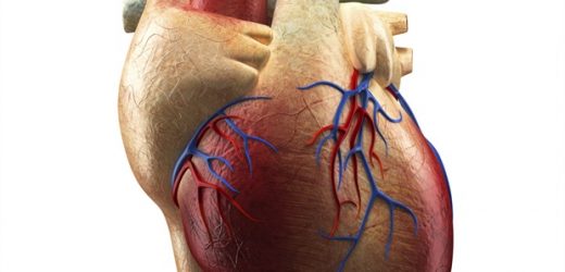 ESC statement: Competency-based cardiac imaging delivery needed for effective patient care