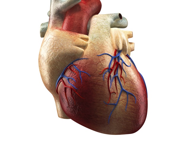 ESC statement: Competency-based cardiac imaging delivery needed for effective patient care