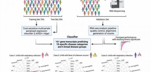 Easier diagnosis of childhood fever using a new rapid blood test