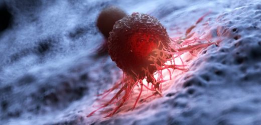 Genetically engineered bacteria can detect cancer cells in a world-first experiment