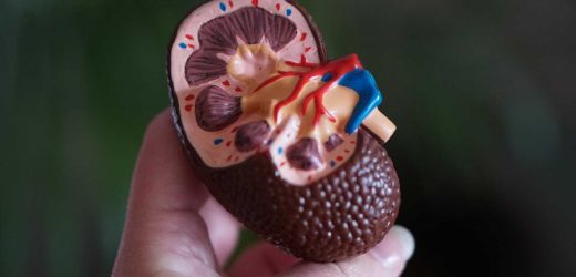 How machine learning could aid compatibility in kidney transplantation