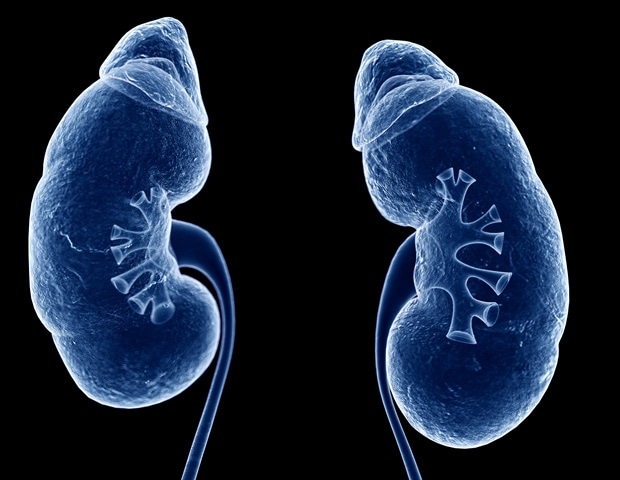 Pioneering drug for rare kidney disease improves outcome for patients