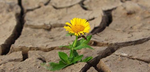 Q&A: Tips for cancer patients to stay safe in the summer