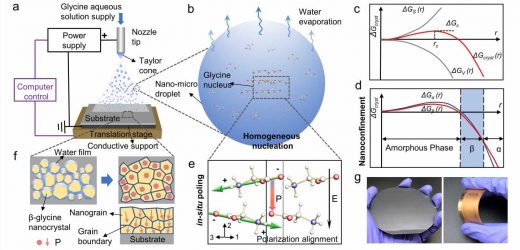 Researchers pioneer technique to self-assemble high-performance biomolecular films