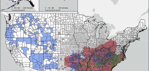 Study identifies geographic hot spots for cigarette, firearm deaths in the US over two decades
