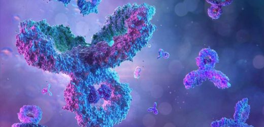 Study reveals link between self-perceived antibody response and actual COVID-19 protection