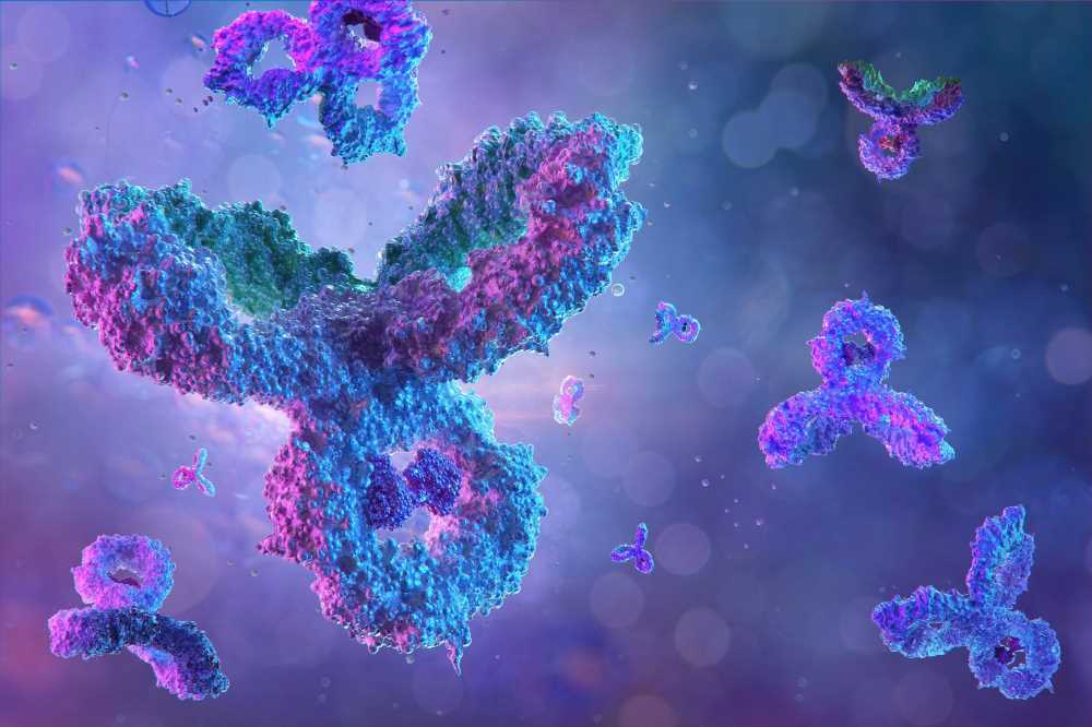 Study reveals link between self-perceived antibody response and actual COVID-19 protection