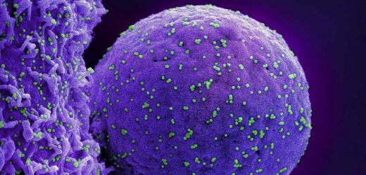 Study unveils previously unknown urinary biomarkers, revolutionizing early detection and treatment of viral infections like COVID-19