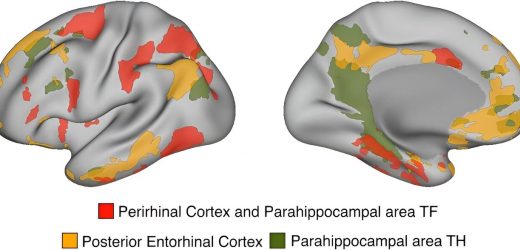 The anatomy of memory: New mnemomic networks discovered in the brain