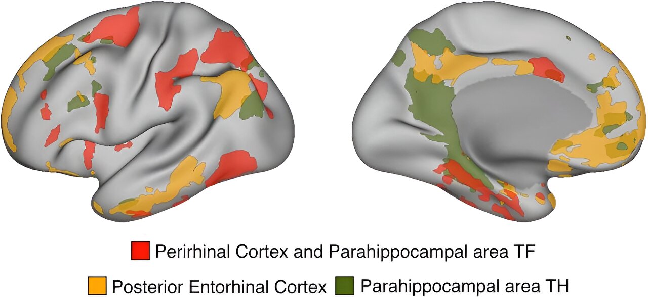 The anatomy of memory: New mnemomic networks discovered in the brain