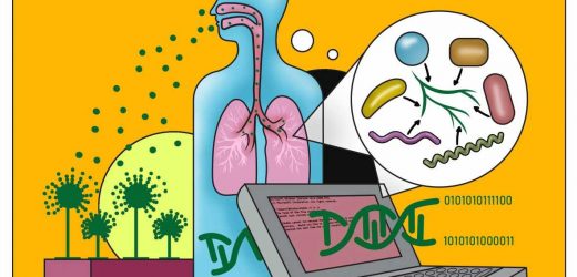 Understanding how Aspergillus fumigatus shapes the lungs