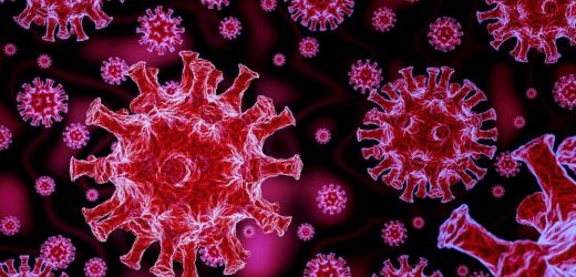 Understanding variations in SARS-CoV-2 evolution and clearance by immunodeficiency status