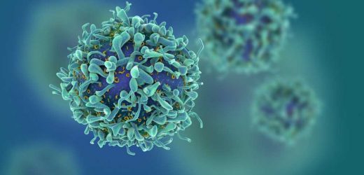 Unlocking tumor immune evasion: IL1RL1+ Treg cells and CAFs collaborate for immunotherapy resistance
