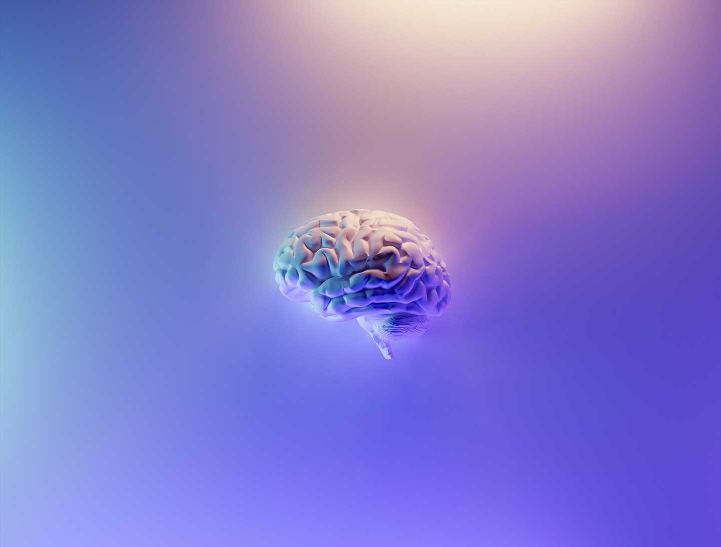 What to know about meningioma and glioblastoma brain tumors