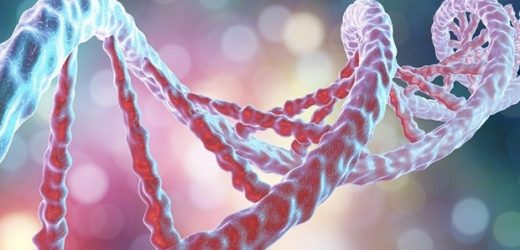 3D bioprinting methods for fabricating bioengineered blood vessel models
