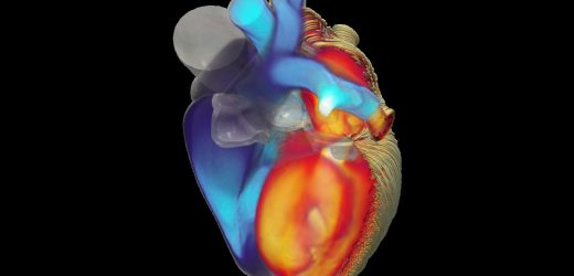 A mathematical model of the heart to revolutionize cardiac research