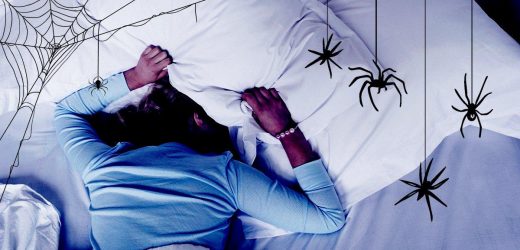 Dreaming about spiders a lot recently? Here's why