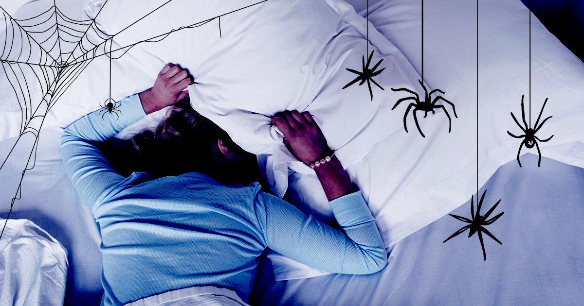 Dreaming about spiders a lot recently? Here's why