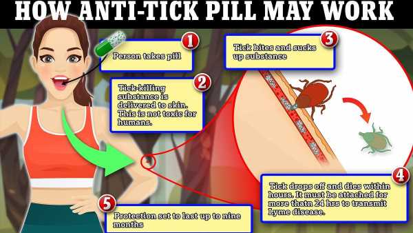 EXCL: Experimental new Lyme disease pill laces your skin with poison