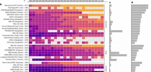 Malnutrition early in life sets stage for poor growth and death: Three papers explore this devastating reality