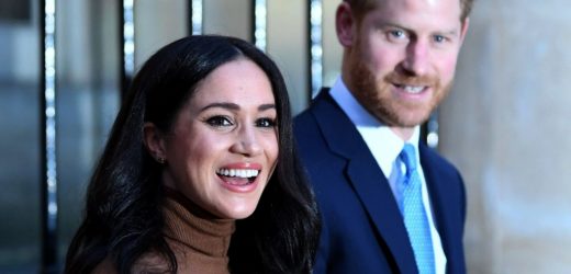 Meghan Markle Reportedly Let It Slip When Prince Archie & Lilibet Diana Will Make Their Public Debut