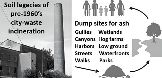 Parks on historic trash incinerator sites could have lead hotspots, study shows