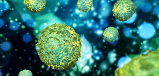 Study reveals heart failure insights at single-cell level
