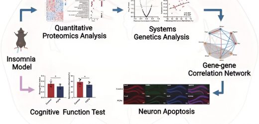 Study uncovers new mechanism by which sleep protects brain function
