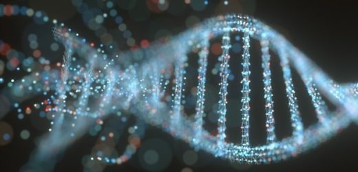VAI scientists uncover mechanism that annotates genetic information passed from fathers to offspring