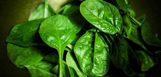 Wounds in diabetes: Can spinach extract help them heal faster?