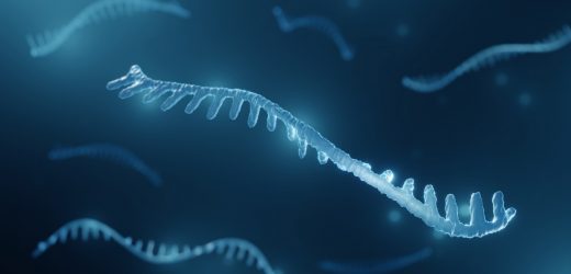 Identification of Alzheimer's disease-associated micro-RNA biomarkers through network-based analysis