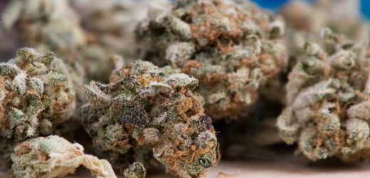 Specific factors associated with marijuana use among high-risk college students