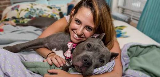 The Top 10 Benefits of Adopting a Dog