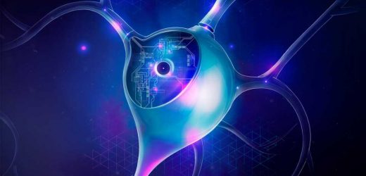 Unlocking the secrets of neuronal function: A universal workflow