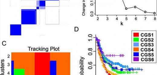 A new gene classification system for gastric cancer