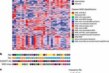 Discovery unlocks potential new arsenal to target leukemia and other cancers