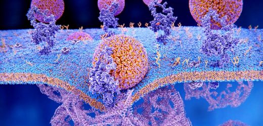 Gaps Persist in Awareness, Treatment of High LDL-C