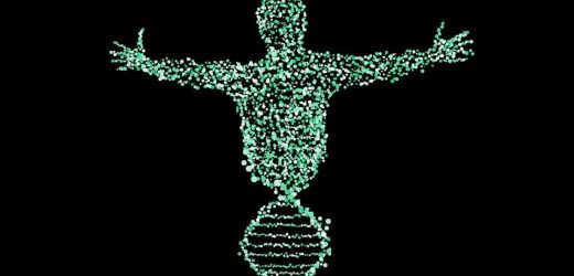 How a specific metabolite tells cells whether to repair DNA