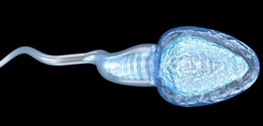 Loss of structural protein ACTL7B blocks spermatogenesis in male mice