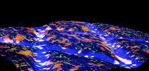 New patch uses natural body motion to fix disk herniation