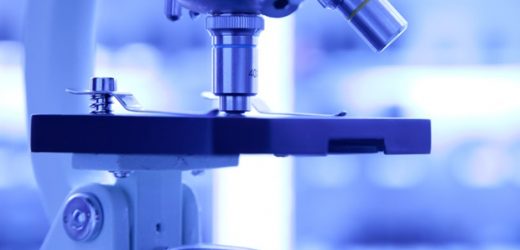 Scientists decode genetic programs controlling sex-specific organ development