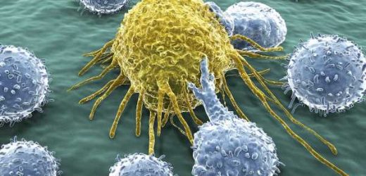 Scientists identify cancer kill &apos;switch&apos; that destroys tumours