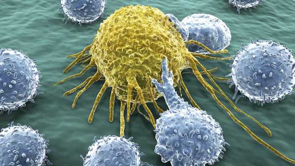 Scientists identify cancer kill &apos;switch&apos; that destroys tumours
