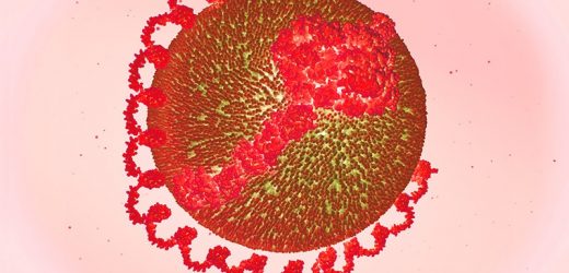 Sustained Reductions in Lp(a) Achieved With Novel siRNA Drug