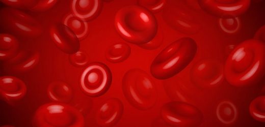 Tolerable treatments lacking for higher-risk myelodysplastic syndromes